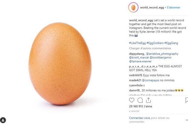 Salt: главное здесь, остальное по вкусу - World Record Egg