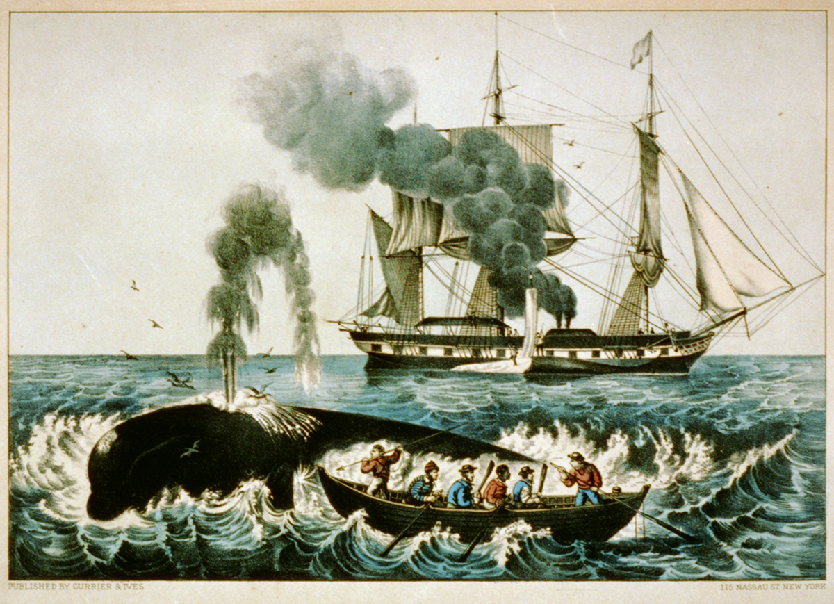 Salt: главное здесь, остальное по вкусу - Китобойное судно. Иллюстрация 19 века. Wikimedia Commons