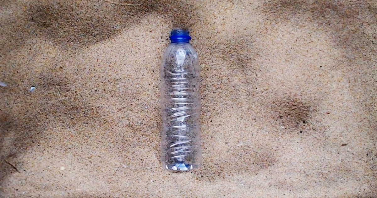 Salt: главное здесь, остальное по вкусу - WWF запустил 450-летний стрим с разлагающейся пластиковой бутылкой